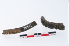 Foto von Bronzearmreif (NHMW-PRAE-078112)